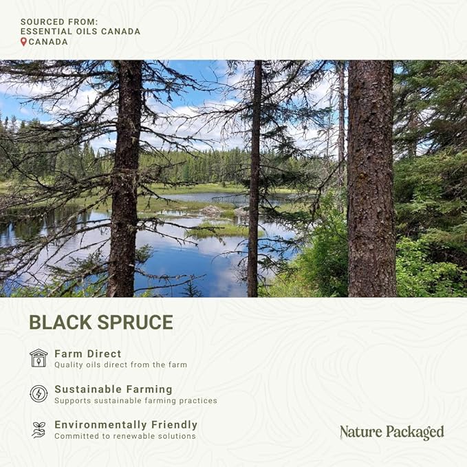 Black Spruce Essential Oil from Canada