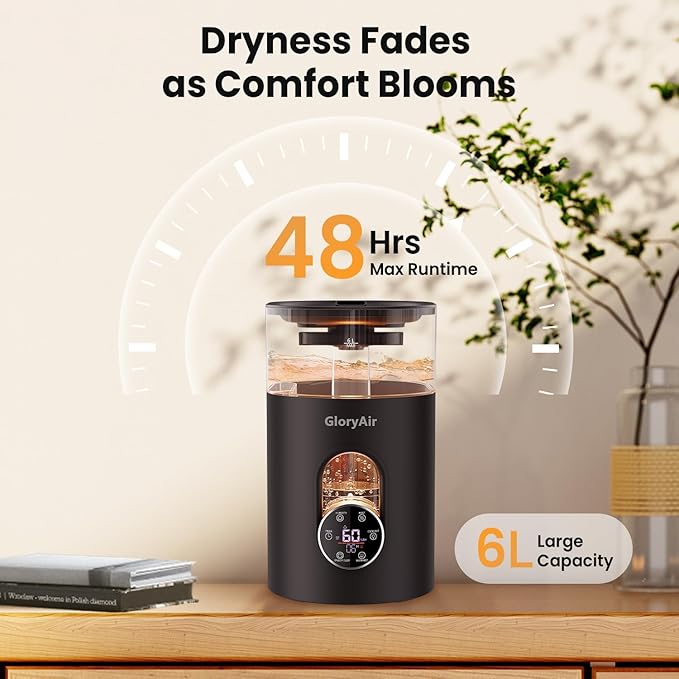 Warm & Cool Mist Humidifier