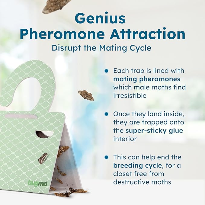 BugMD Clothes & Pantry Moth Traps – Sticky Glue Pheromone-Based Repellent