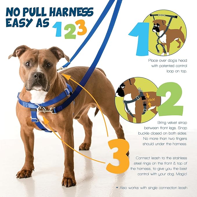 2 Hounds Design Freedom No Pull Dog Harness, 5/8 inch SM, Neon Orange | Discourages Pulling, Comfortable Control Adjustable Dog Harness for Small Sized Dogs, Made in USA (Leash Not Included)