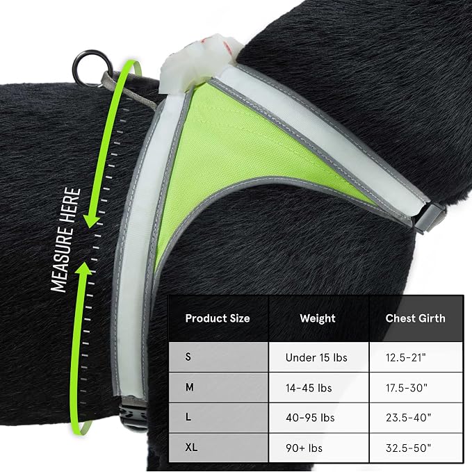 noxgear LightHound Light Up Reflective Dog Harness and Wrist Light, X-Large | 360° Light Up Reflective Dog Harness, 8 Colors & 6 Modes, USB Rechargeable, Adjustable, Rainproof, LED Fiber Optic
