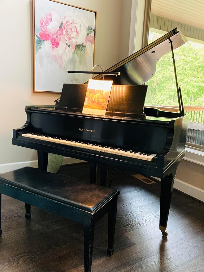 Cocoweb 19" LED Grand Piano Light in Black with Satin Nickel Accents with Dimmer Clip