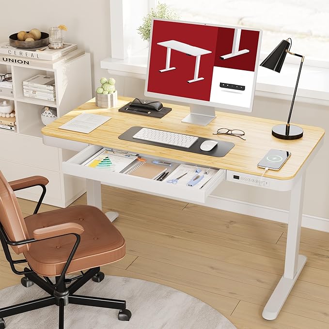 Standing Desk with Drawer, Electric Height Adjustable Home Office Desk with