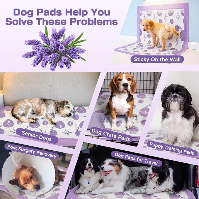 Dog Training Pads-24"x 24",Disposable Puppy Pads,100Cts | Super Absorbent, Lavender Scented, Leak-Proof & Adhesive Tabs, Quick-Dry Surface,Odor Control Pee Pads for Small Puppy Dogs
