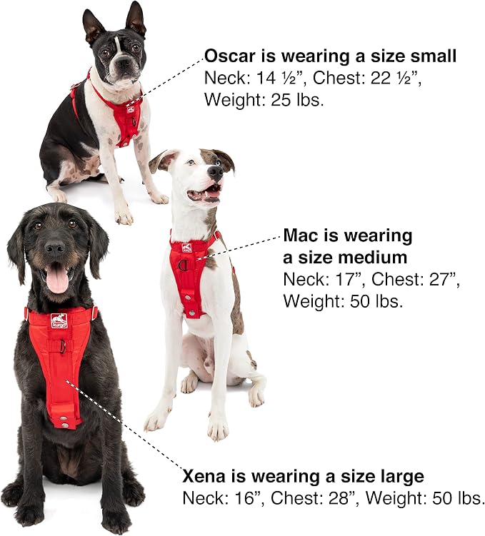 Kurgo Enhanced Strength Tru-Fit Smart Harness, Charcoal, Extra Small | Crash Tested Car Harness for Dogs up to 75Lbs, Seatbelt Tether & Steel Carabiner, All-Steel Buckles, Padded Chest for Comfort