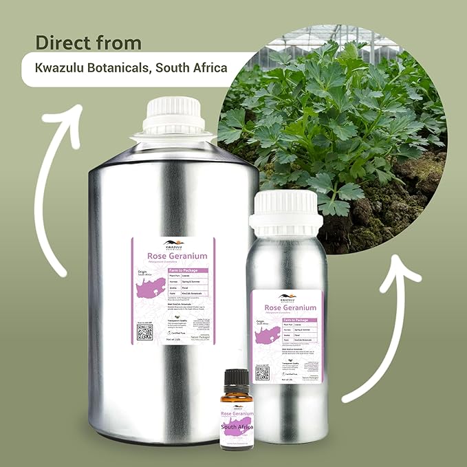 Rose Geranium Essential Oil