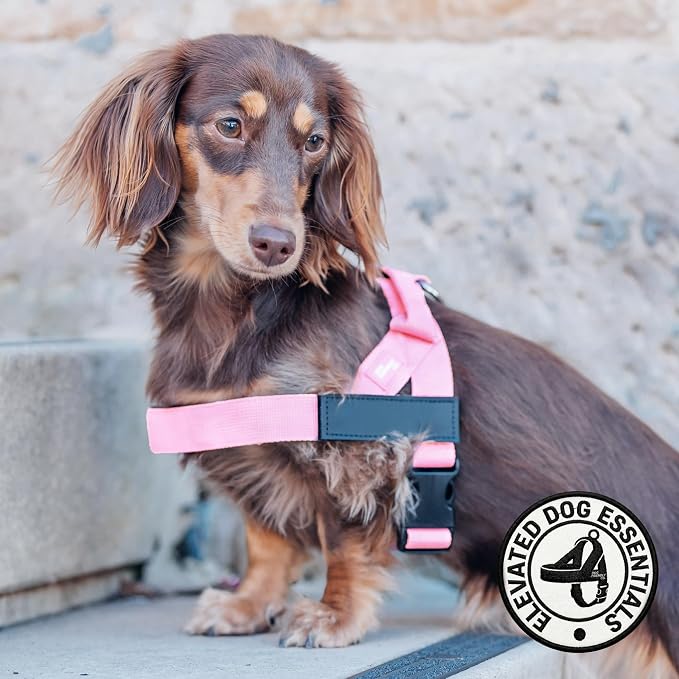 Dog Friendly Co. Dog Harness for Large Dogs (Pink, Large) | One Click Buckle, Chafe Resistant Webbing, Adjustable Neck & Chest, and Heavy Duty D-Ring, Sturdy Comfortable and Easy to Use