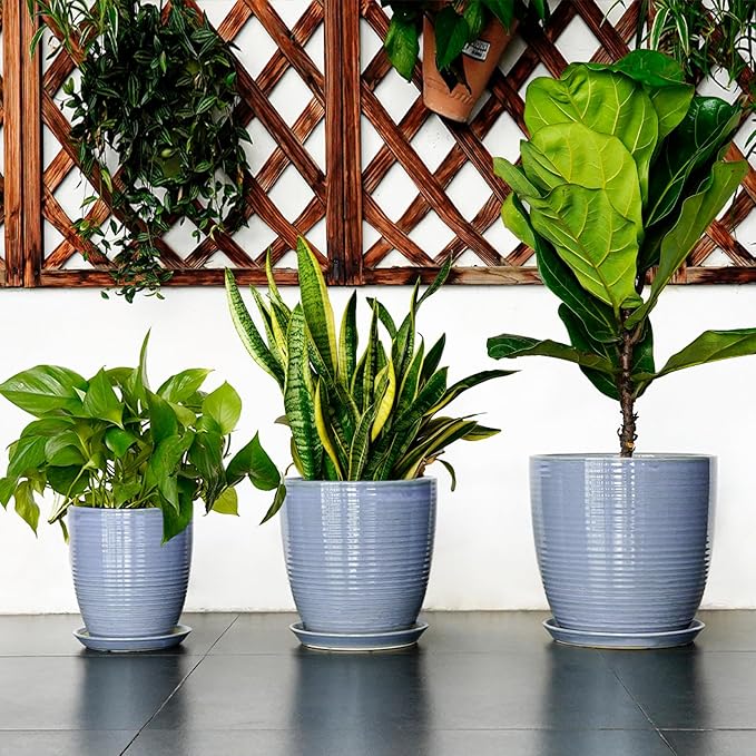 10 Inch Plant Pot - Round Ceramic Planter with Drainage Hole and Plant Saucer Indoor Outdoor for Decoration, Modern Home Garden Office Decor, House Warming Gifts, Blue-Purple
