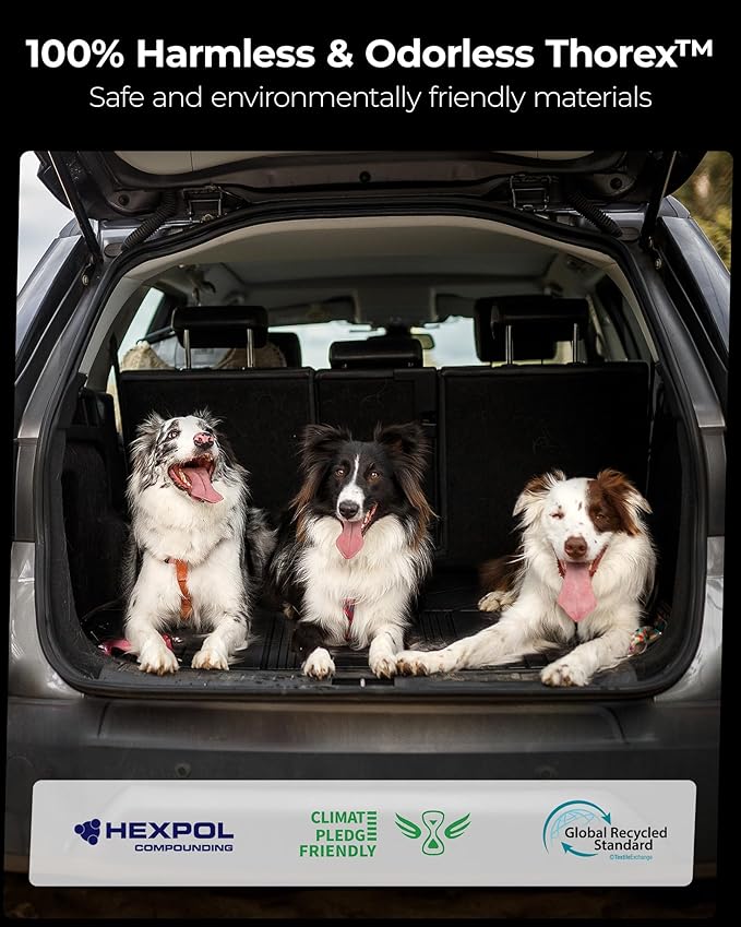 3W Cargo Mat Custom Fit for Toyota Sienna 2021-2026, TPE Trunk Mat for Sienna Car Accessories, Heavy Duty Cargo Liner (Only Fit Spare Tire)