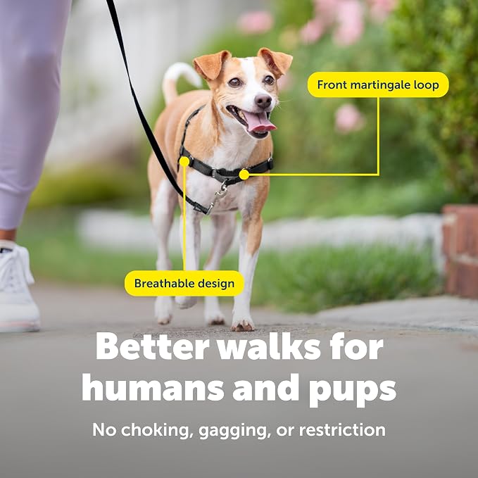 PetSafe Easy Walk Harness for Dogs - Pull-Free Walks - Patented Martingale Loop Design - Front Chest Leash Attachment - Comfort Straps - Breathable Harness Design - Small, Apple Green/Gray | Patented Martingale Loop Gives Gradual Shoulder Pressure to S...