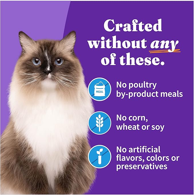 Halo Wet Cat Food Whitefish Recipe, Grain Free Wet Cat Pate, Canned Cat Food for Extra Hydration, 5.5 Oz Can (Pack of 12)