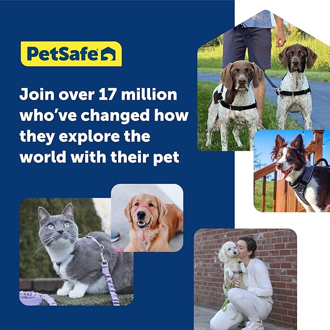 PetSafe Easy Walk Harness for Dogs - Pull-Free Walks - Patented Martingale Loop Design - Front Chest Leash Attachment - Comfort Straps - Breathable Harness Design, Charcoal/Black, X-Large (Pack of 3)