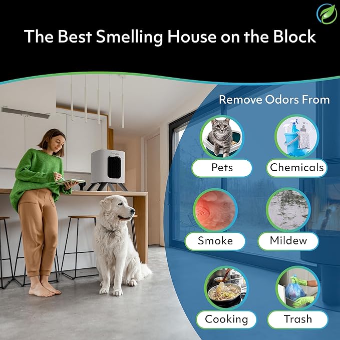 Air Oasis iAdaptAir 2.0 H13 HEPA Filter Air Purifier Reduces 99% of Viruses