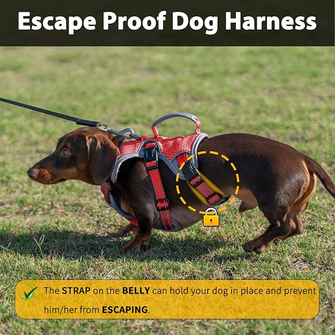 Escape Proof Dog Harness, Dachshund Harness, Reflective Dog Harness with Handle, Durable,Adjustable Vest for Small Medium Large Dogs Walking, Training, and Running Gear (Red,M)