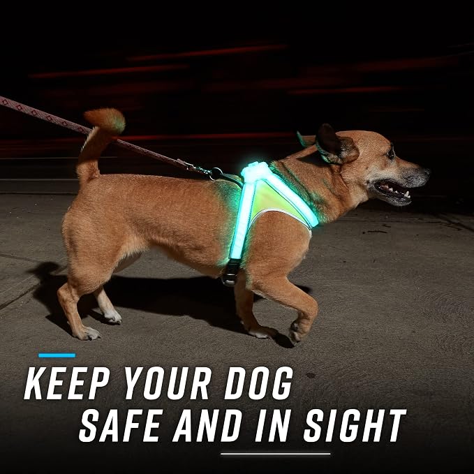 noxgear LightHound Light Up Reflective Dog Harness and Wrist Light, Large | 360° Light Up Reflective Dog Harness, 8 Colors & 6 Modes, USB Rechargeable, Adjustable, Rainproof, LED Fiber Optic