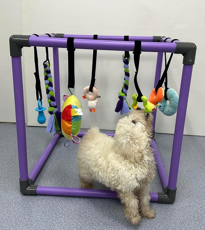 Puppy Play Gym for small dogs with 8 Hanging Interactive Toys Indoor Play | Funny Enrichment Jungle Playground to Keep Them Busy,with Bungee Straps for self-play,19.5*19.5*19.5in