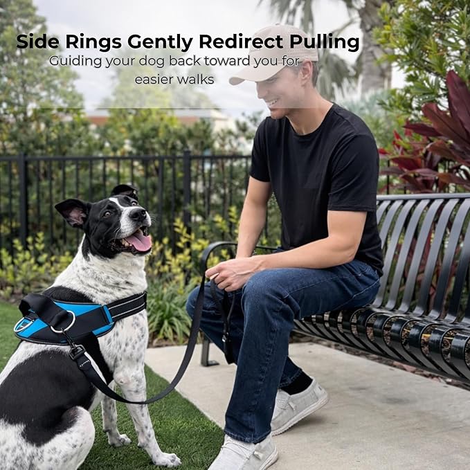 ShawnCo Essential Dog Harness, No-Pull Pet Vest (White Marble,S) | 3 Leash Clips, Easy On, No-Choke, Reflective, Adjustable Fit, Padded Comfort, Control Handle, For Small, Medium & Large Dogs