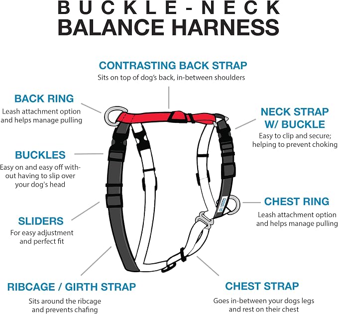 Blue-9 Buckle-Neck Balance Harness, Fully Customizable Fit No-Pull Harness, Ideal for Dog Training and Obedience, Made in The USA, Red, Small