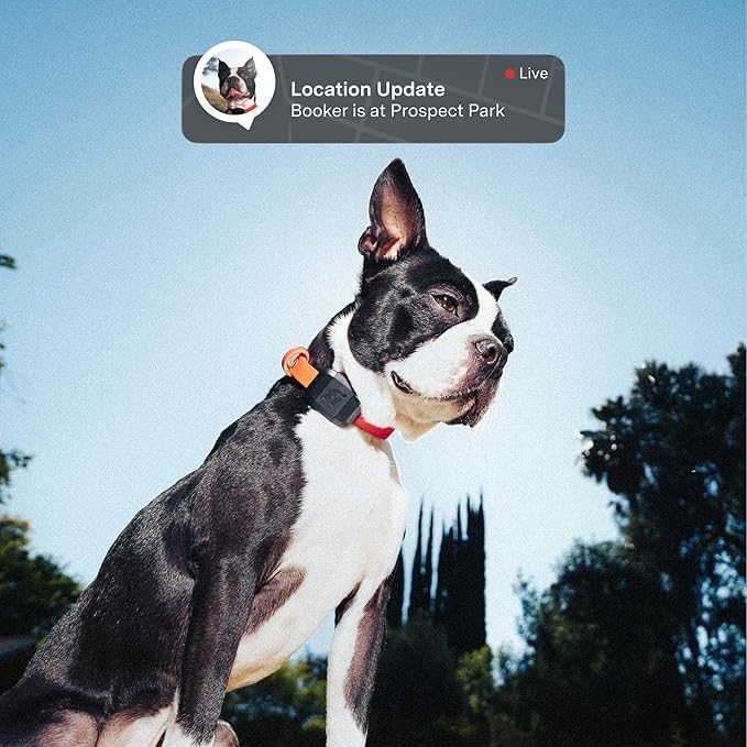 Fi Mini GPS Tracker for Dogs — 12-Month Membership Included — Smart Pet