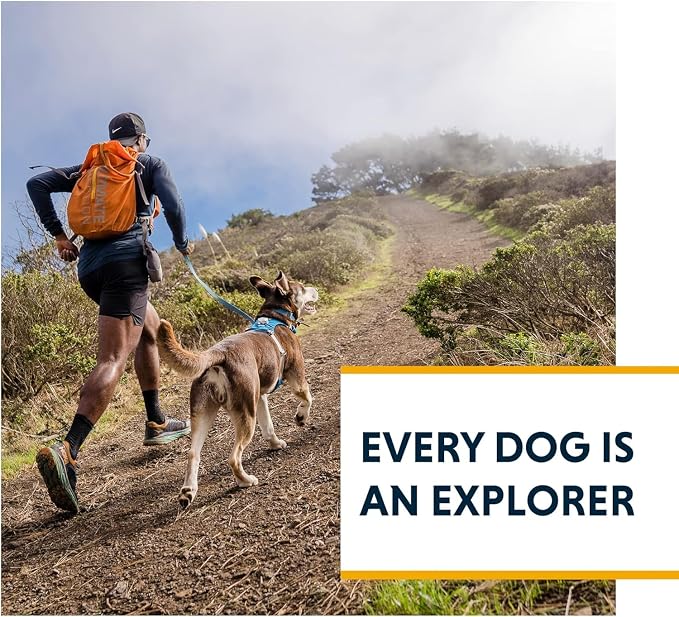 Ruffwear, Hi & Light, Everyday Lightweight Dog Harness, Trail Running, Walking, Hiking, All-Day Wear, Lichen Green, X-Small