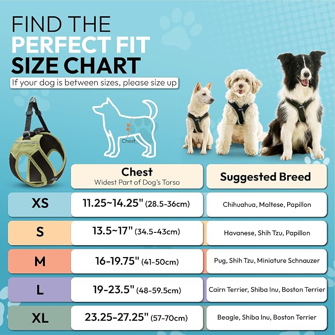 Gooby Escape Free Easy Fit X Step-in Dog Harness, Portland Green, Small | Patented escape-free, tightens on back-out; Choke-free X-frame + V-neck; Quick-release buckle; Reflective trim