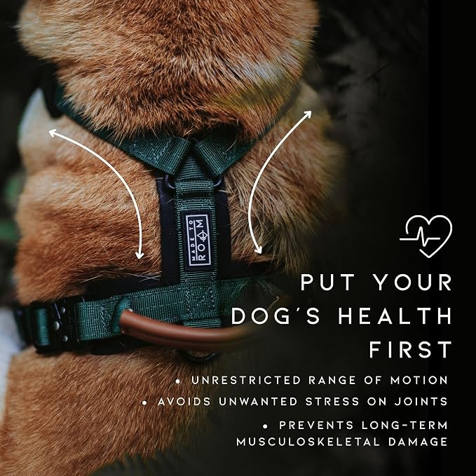 MADE TO ROAM Premium Explorer Harness - Y-Shaped Dog Harness with Adjustable Durable Nylon, Soft Padding, Metal Buckles and Leather Handle for Small, Medium, Large Dogs (Vermont Weekends, Size 4)