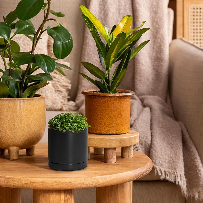 D'vine Dev 3.5 Inch Ceramic Planter Pot with Drainage Hole and Saucer, Indoor Cylinder Round Planter Pot, Black, 94-O-A-2