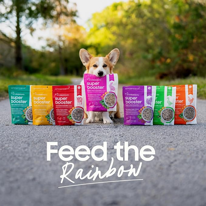 Smallbatch Freeze Dried Dog Treats, Superfood Food Topper Chicken Bites for Dogs & Cats, Probiotics, Organic Ingredients, High Protein, Grain Free Healthy Treat Food Topper, Made in the USA, 18 oz Bag