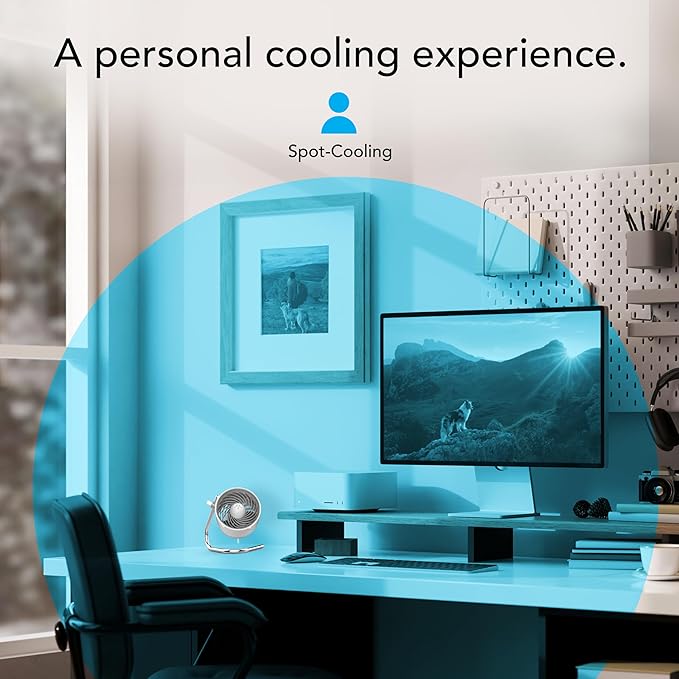 Vornado Pivot Personal Air Circulator, Desk Fan, Ice White