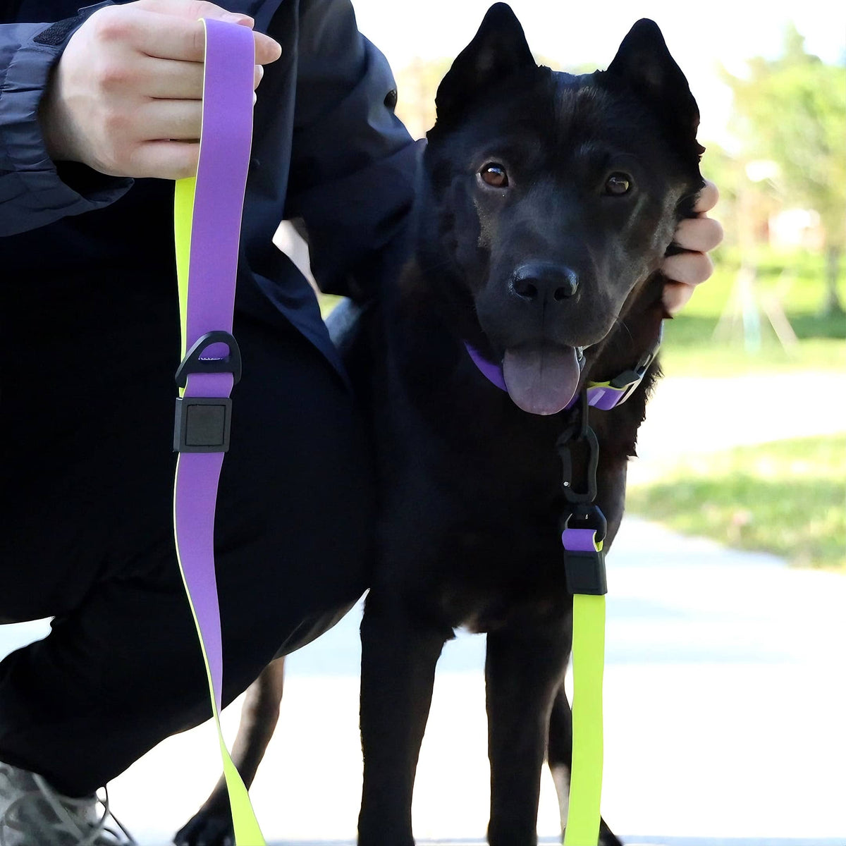 Honeycomb Embossed Dual-Color Pet Leash Set Is Stylish And Fashionable. The Embossed Surface Enhances The Leash's Grip, Preventing Slippage When Held. The Product Is Waterproof, Wear-resistant, Odor-r