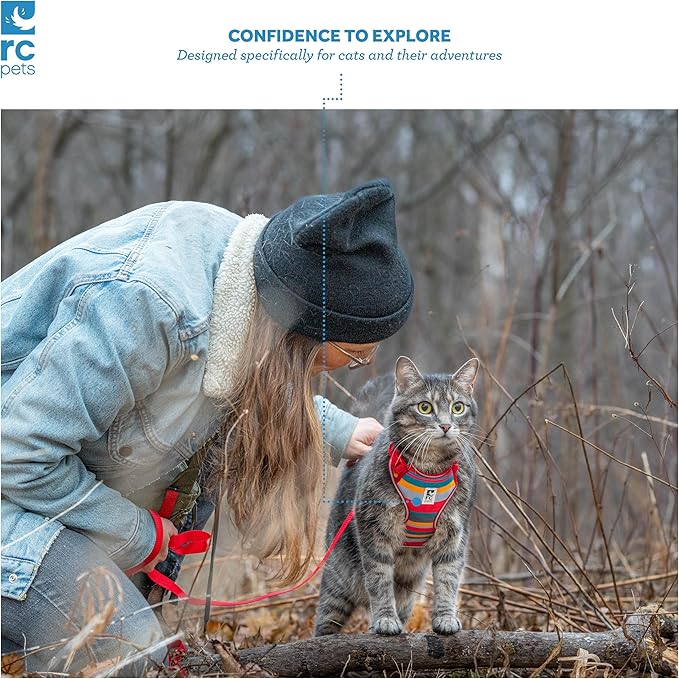 RC Pets Adventure Kitty Cat Harness | Adjustable Airmesh Vest with D-Ring and 6ft Leash for Walking and Travel | Teal, Small