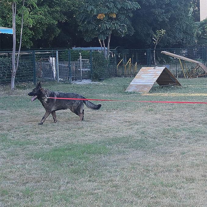 Dog/Puppy Obedience Recall Training Agility Lead - 15ft 20ft 30ft 40ft 50ft Training Leash - Great for Play, Camping, or Backyard (Brown, 30 Feet)