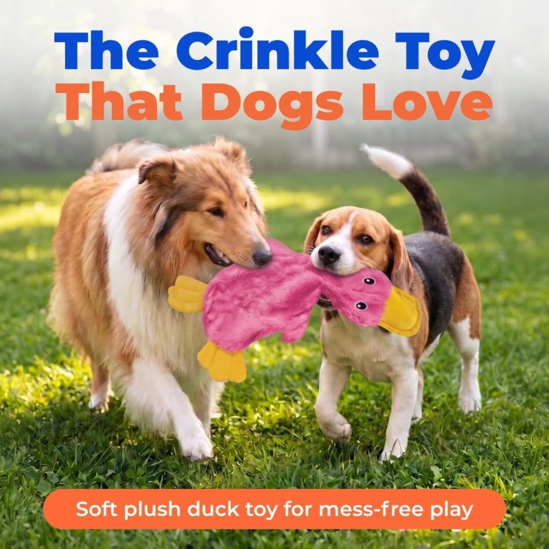 Best Pet Supplies Interactive Squeaky Dog Chew Toy, Ideal Dog Toys For Chewers, Small, Medium Large Dogs, And Fetch Lovers