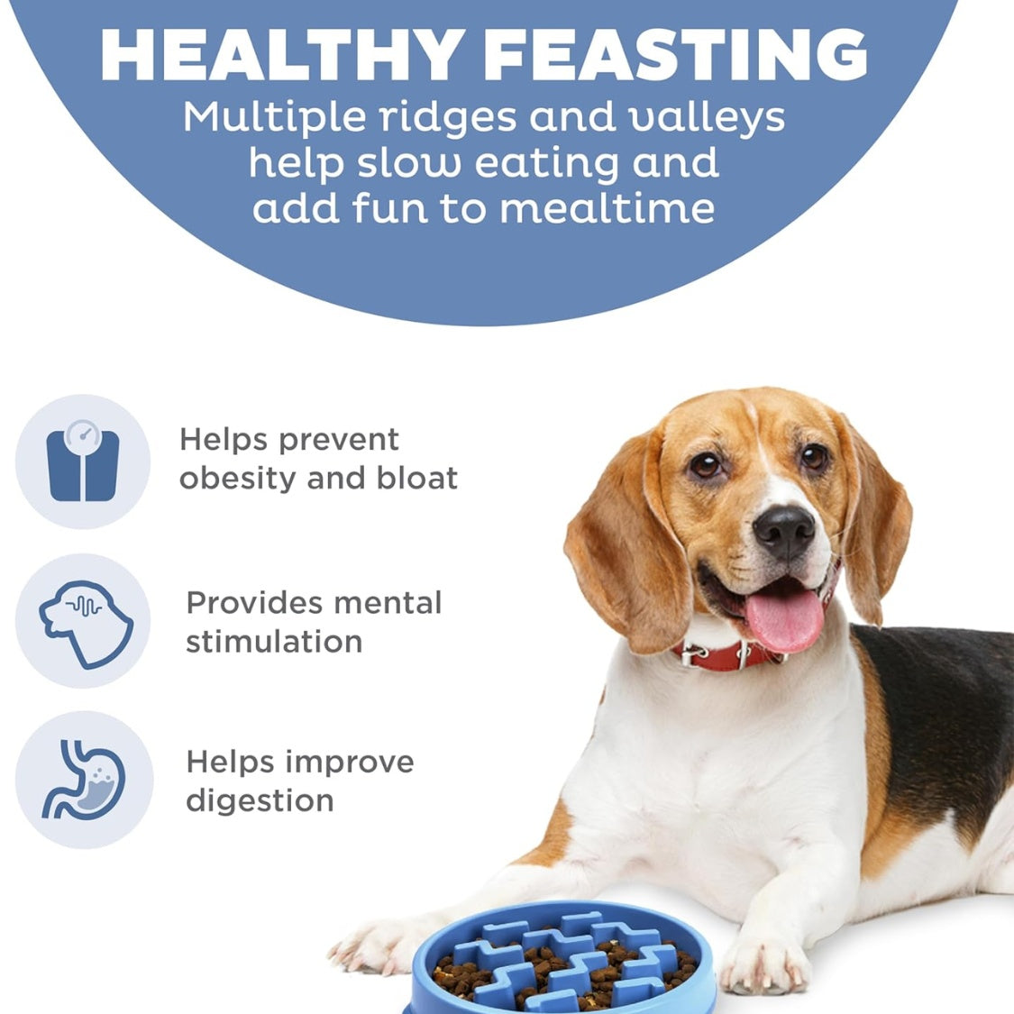Feeder Slo Bowl  Medium 2Cup Capacity, Slow Feeding, Small To Medium Dogs  Cats, Non Slip, Blue, Notch Pattern