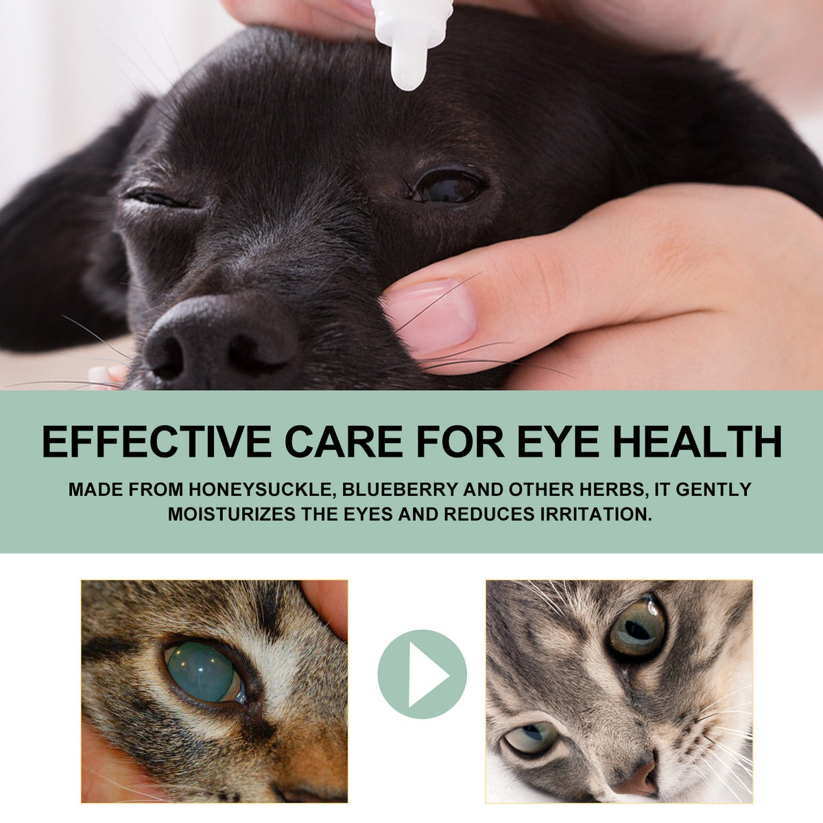Pet Eye Drops For Dogs & Cats, Gentle Eye Cleaner With Honeysuckle Oil & Blueberry Extract, Soothes Irritation, Tear Stain Remover For Pet Daily Eye Care