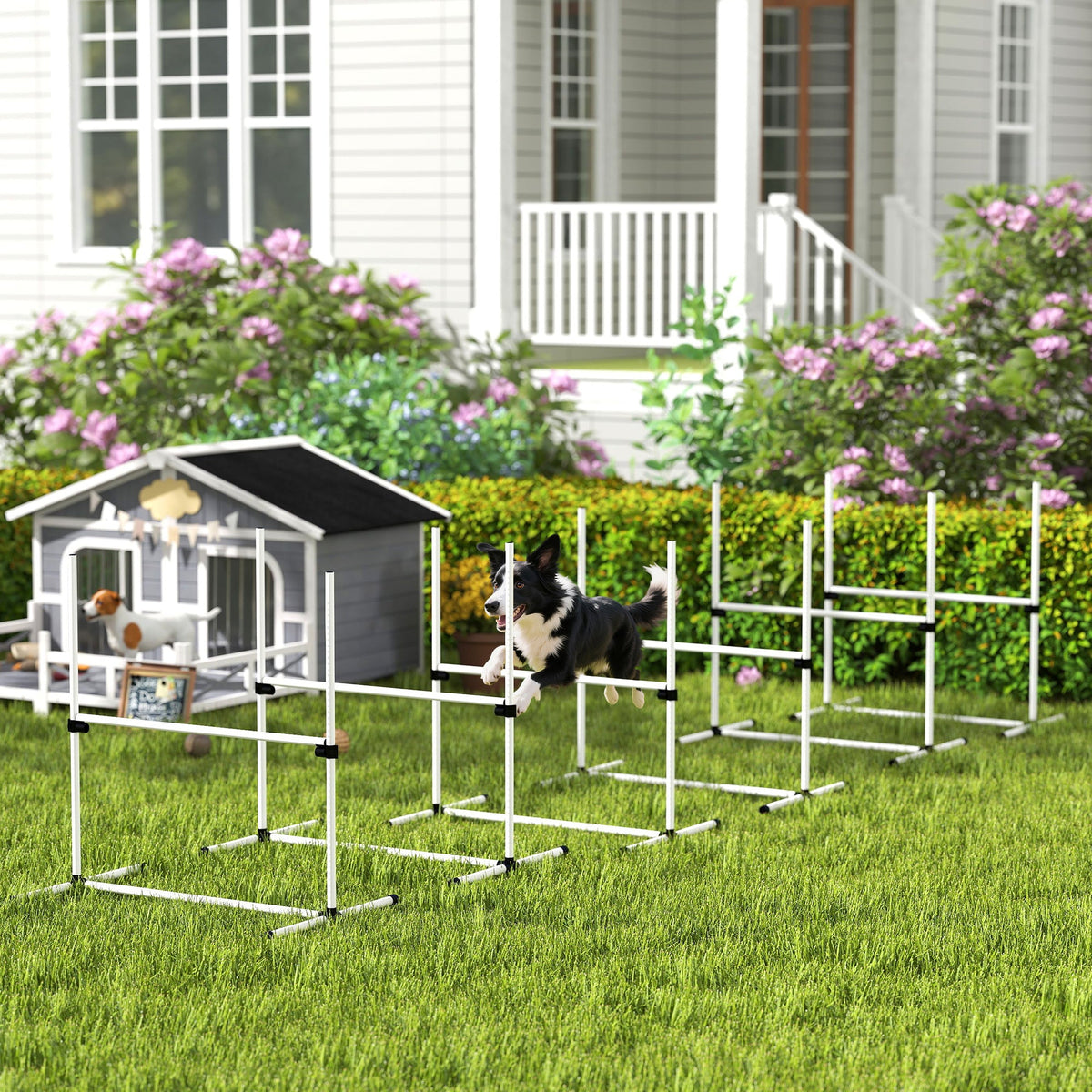 6 Piece Dog Agility Set with Adjustable Height Jump Bars, Carry Bag, Displacing Top Bar, White