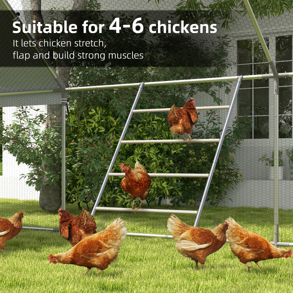 Chicken Roost For Coop, Jungle Gym Roosting Bar