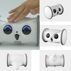 Owl Robot: 1080P Full HD Pet Camera with Treat Dispenser, Interactive Toy for Dogs and Cats, Full House Mobile Monitoring via App,2 Way Talk,No Monthly Fee (Only 2.4G WiFi)