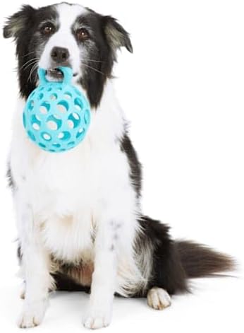 Leaps & Bounds Cage Ball with Handle Dog Toy, Medium