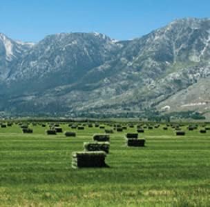Blue Mountain Hay | Fresh Timothy Hay (5 Pounds) | Great for All Ages | High-Altitude Hay Pet Food for Rabbits, Guinea Pigs, Chinchillas, Hamsters, and Other Small Pets
