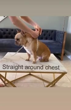 Adjustable Dog Harness– No Pull, No Choke – for English Bulldogs, French Bulldogs, Pugs & Broad-Chested Breeds – Easy, Safe Walks (Check, Medium)