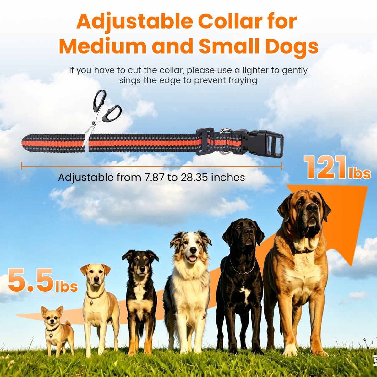 Dog Training Collar With Remote