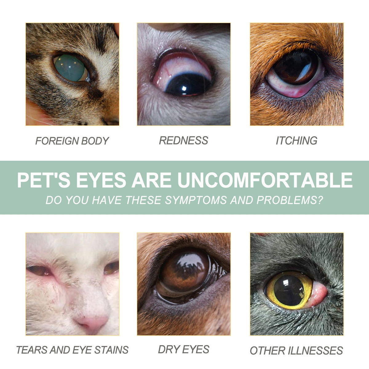 Pet Eye Drops For Dogs & Cats, Gentle Eye Cleaner With Honeysuckle Oil & Blueberry Extract, Soothes Irritation, Tear Stain Remover For Pet Daily Eye Care