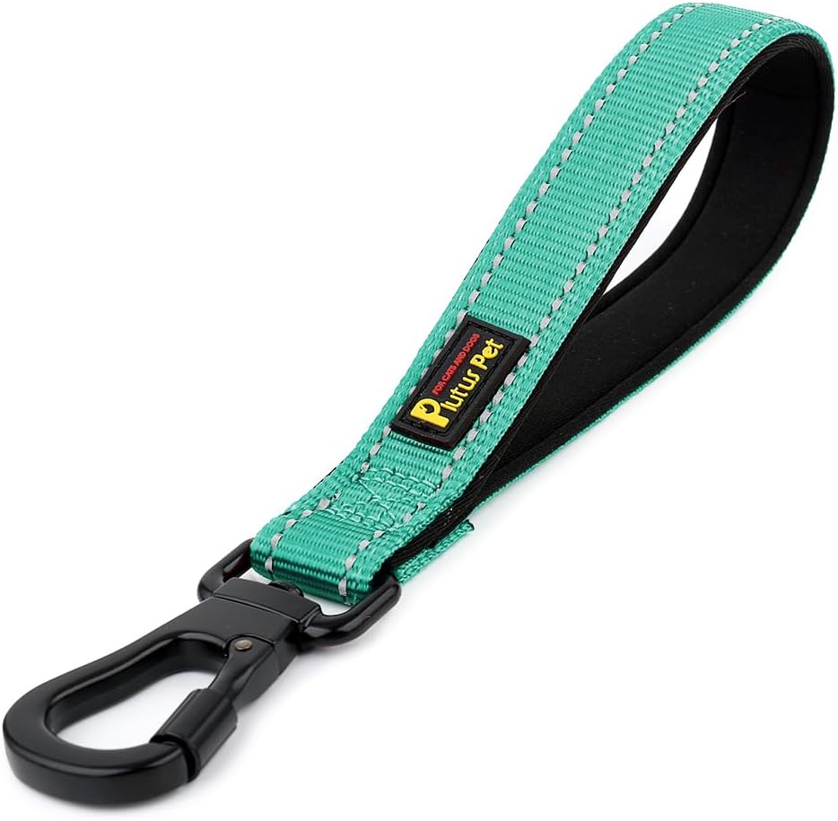 PLUTUS PET Short Dog Leash, Reflective Nylon Padded Handle, Strong Traffic Leash with Carabiner Clip, Perfect for Large or Medium Dogs (10”，Teal)