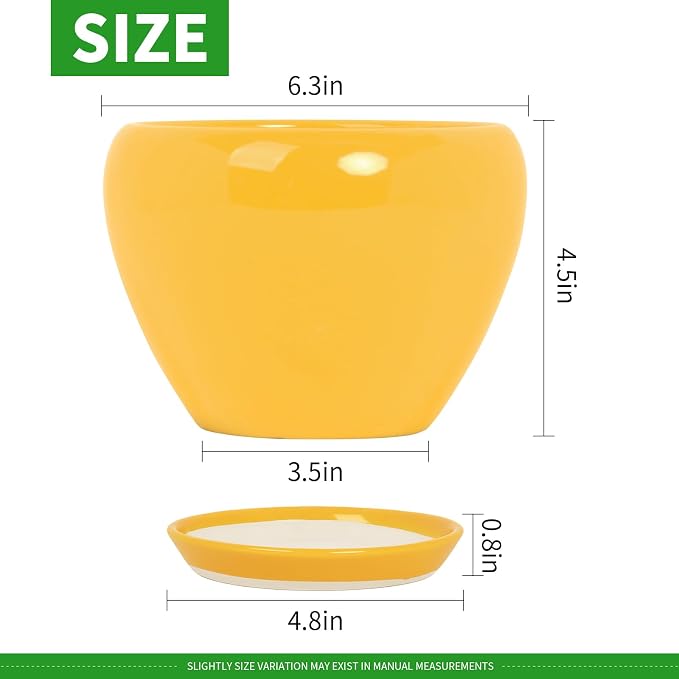 Deep Dream 6 Inch Plant Pots- Ceramic Planter Pot with Drainage Hole and Saucer, Round Flower Pot for Indoor Outdoor Succulent, Snake Plants and Cactus, Yellow