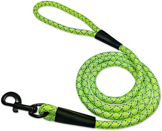 noxgear LightHound Light Up Reflective Dog Harness and Leash, Medium | 360° Light Up Reflective Dog Harness, 8 Colors & 6 Modes, USB Rechargeable, Adjustable, Rainproof, LED Fiber Optic