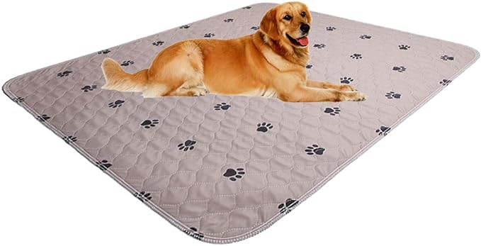 SincoPet Washable Dog Pee Pads with Puppy Grooming Gloves,Puppy Pads,Reusable Pet Training Pads,Large ,Waterproof Pet Pads for Dog Bed Mat,Super Absorbing Whelping Pads,41x41 Inch (Pack of 2)