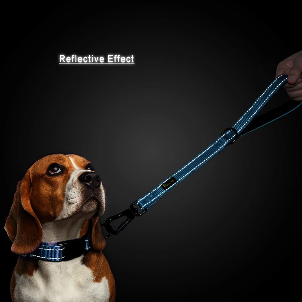 PLUTUS PET Short Training Dog Leash with Padded Handle for Medium Large Big Dogs,18 Inch Heavy Duty Strong Traffic Leash with Carabiner Clip for Climbing Walking or Guiding Blind（18”，Blue