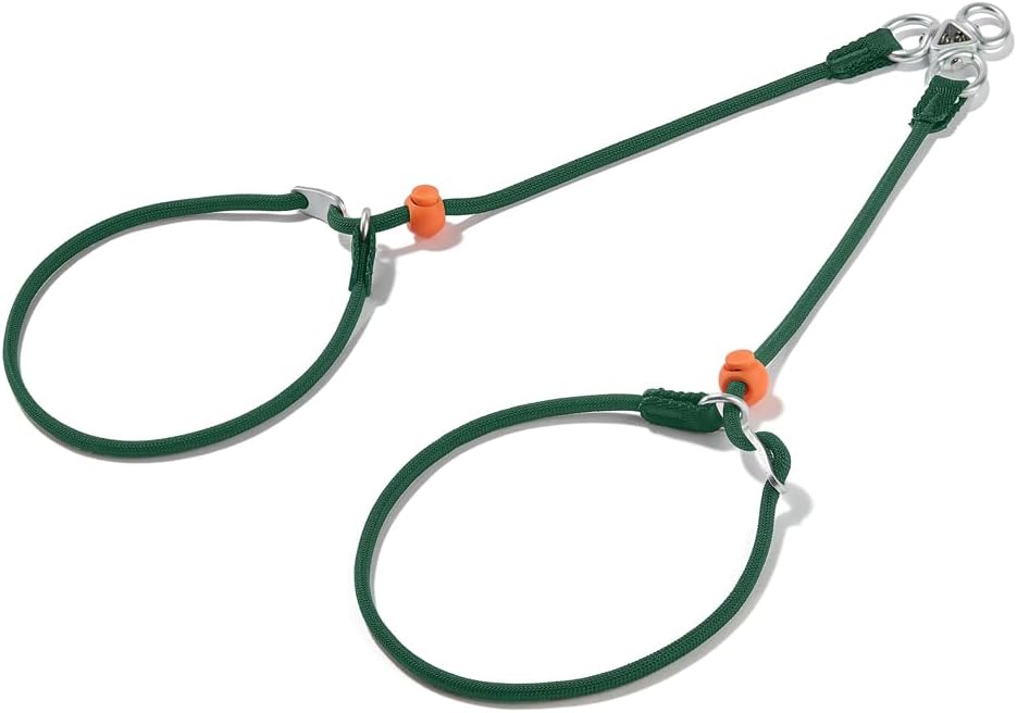 Howgo Double Slip Leash Slip Lead | Dual Dog Lead for 2 Dogs,360° Swivel No Tangle | Dog Training Nylon Leash and Collar | Double Clip Coupler and Splitter | Lightweight Aluminum (Green, 3FT)