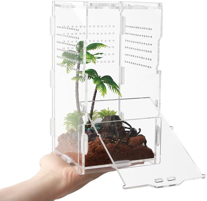 8x4x4 Inch Modern Rectangular Acrylic & Polycarbonate Vivarium for Tarantulas, Lizards, Snakes, Geckos, Jumping Spiders, Snails, Insects